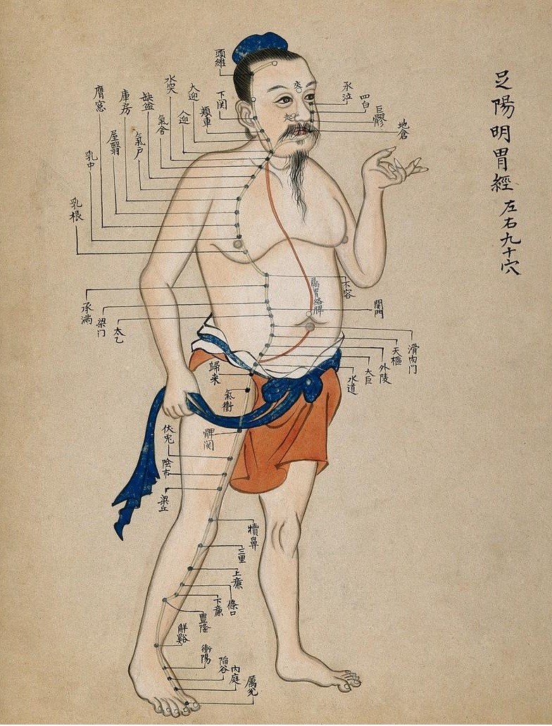 acupuncture praticien médecine chinoise gap sisteron domicile moxibustion massage